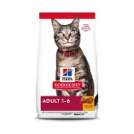 Dry Cat Food